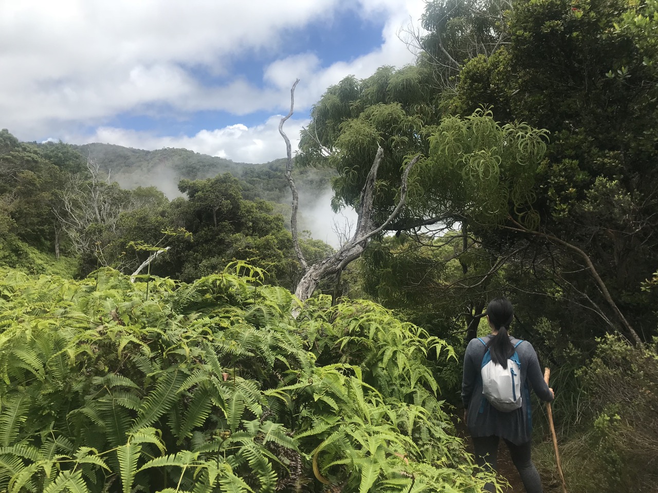 Awaawapuhi-Trail-002.jpg