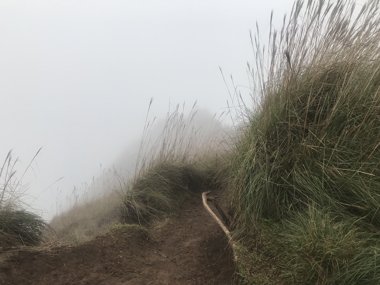 Awaawapuhi-Trail-003.jpg