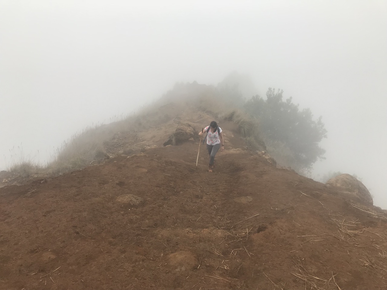 Awaawapuhi-Trail-004.jpg
