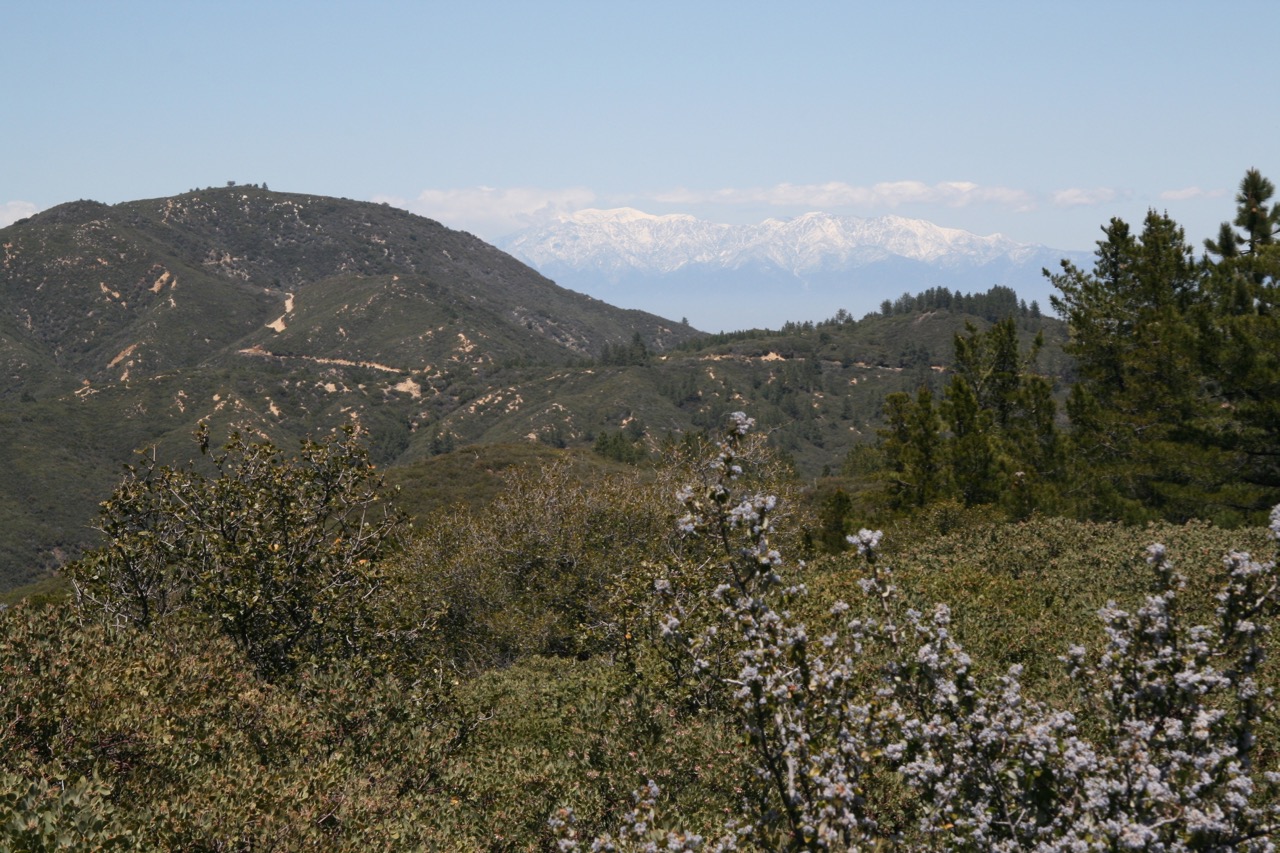 Los-Pinos-Peak-003.jpg