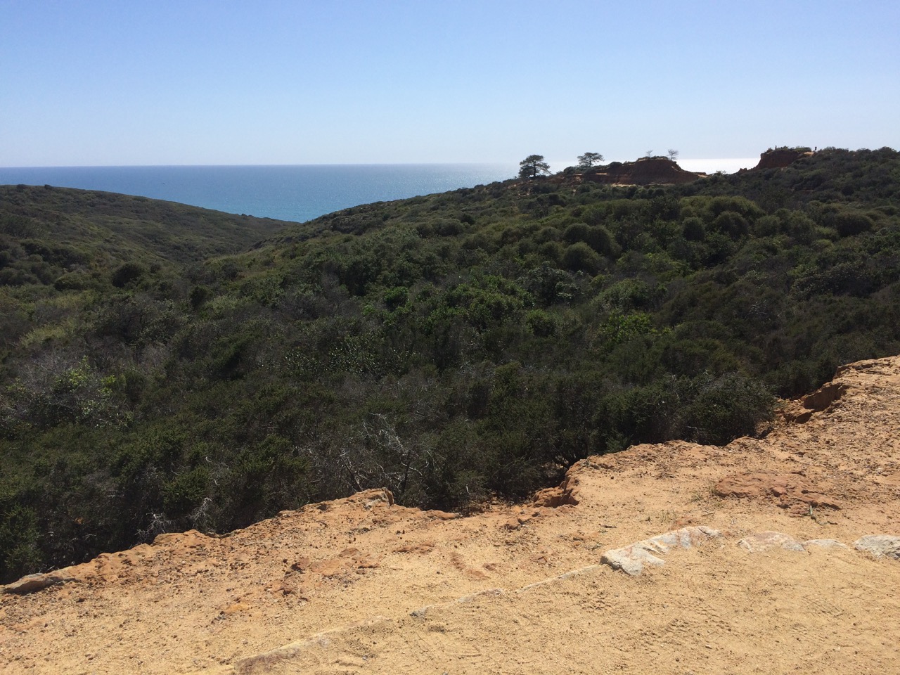 Torrey-Pines-State-Natural-Reserve-003.jpg