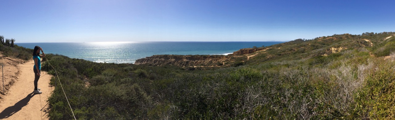 Torrey-Pines-State-Natural-Reserve-004.jpg