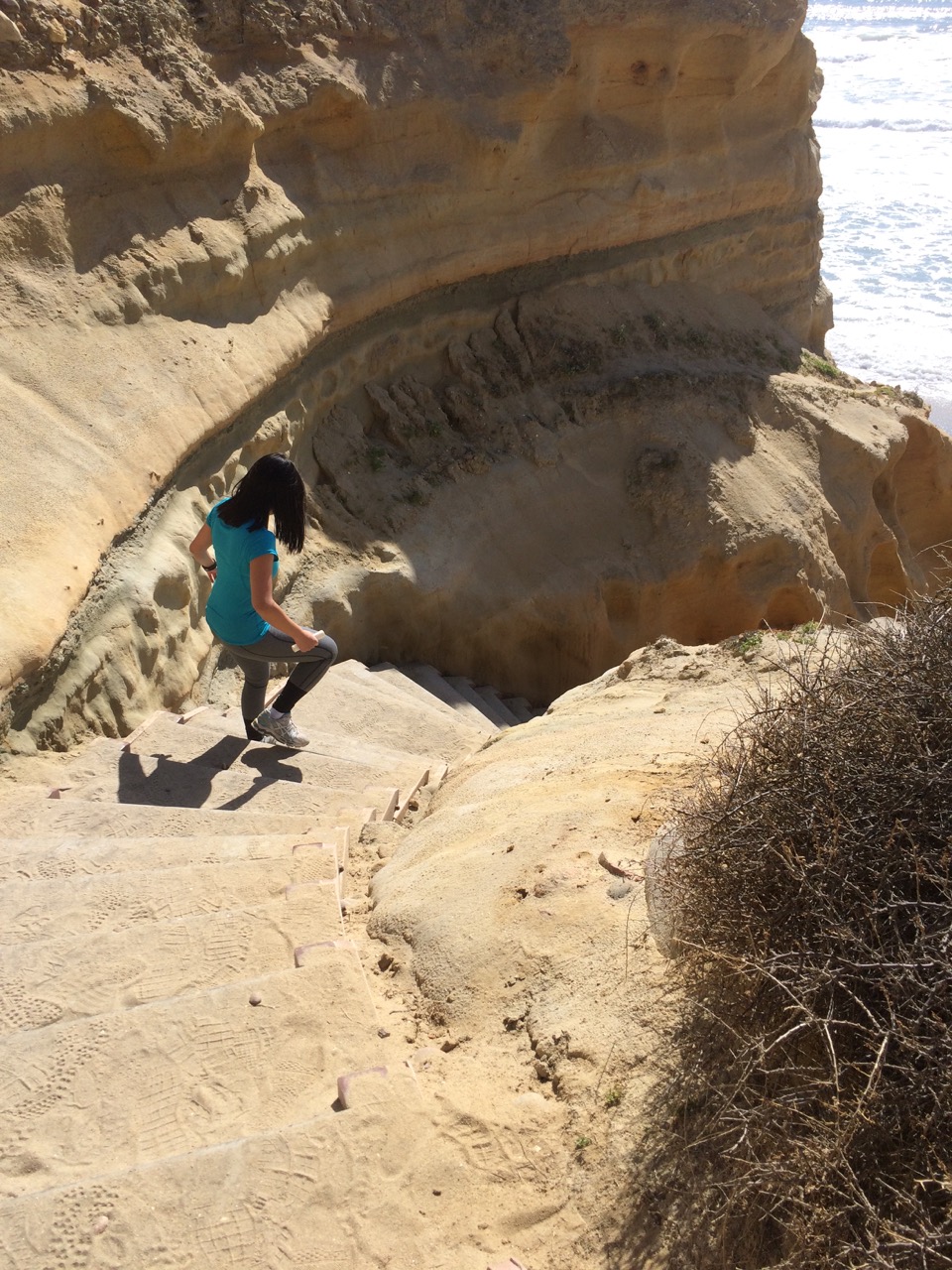 Torrey-Pines-State-Natural-Reserve-006.jpg