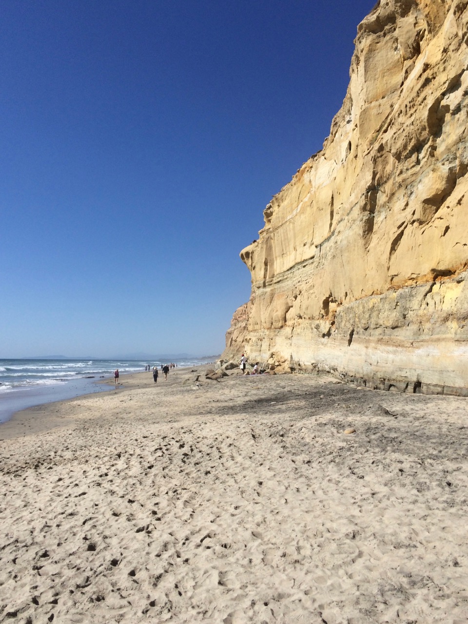 Torrey-Pines-State-Natural-Reserve-007.jpg